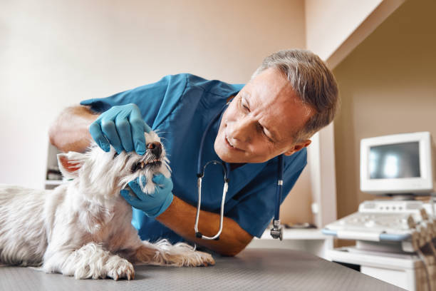 Best Emergency Wisdom Tooth Extraction in East Griffin, GA